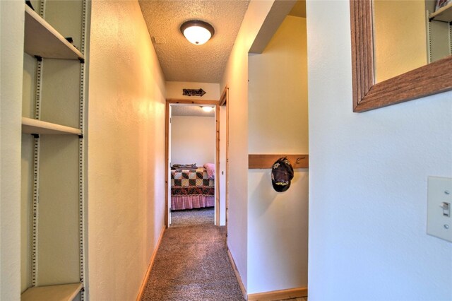 275 Vulture Ln, Como, CO 80432 - photo 16