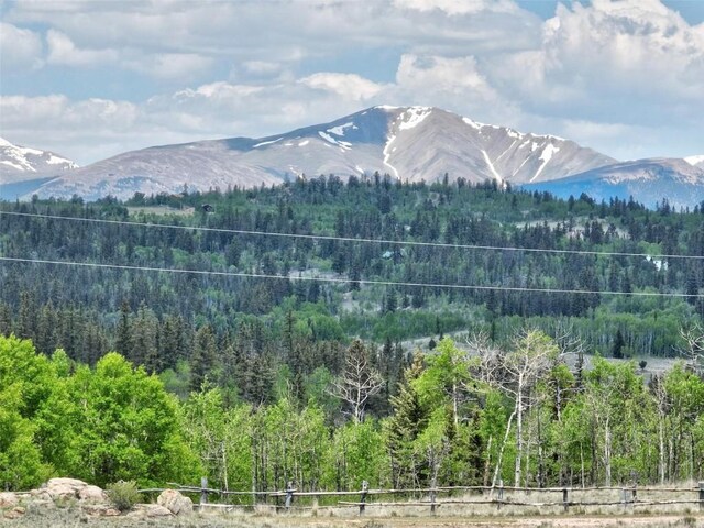 275 Vulture Ln, Como, CO 80432 - photo 43