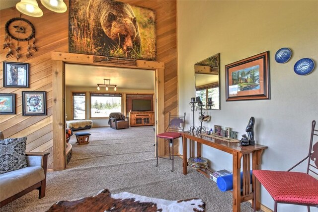 275 Vulture Ln, Como, CO 80432 - photo 21