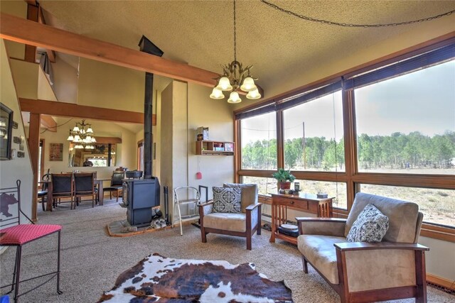 275 Vulture Ln, Como, CO 80432 - photo 13