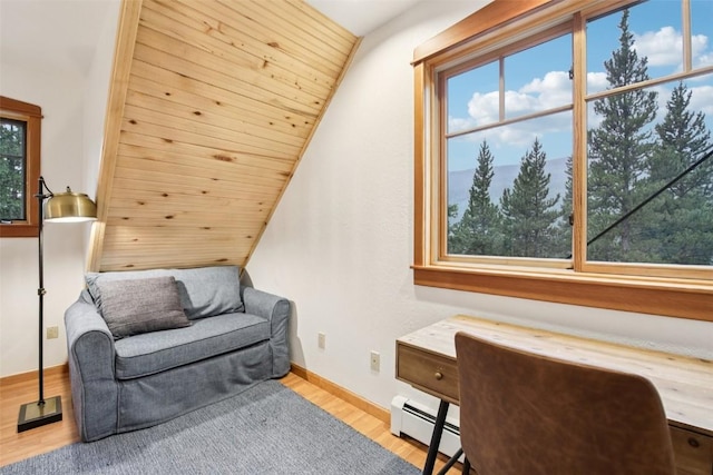 294 Davis Ct, Breckenridge, CO 80424 - photo 17
