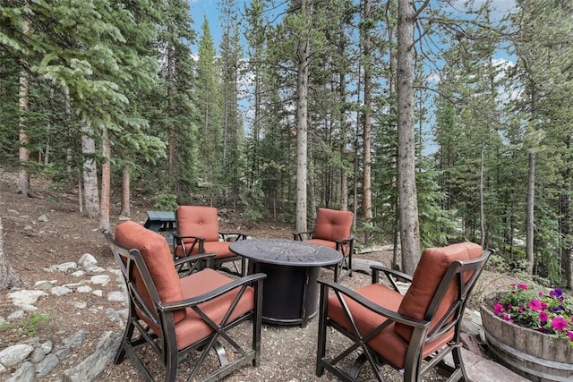 294 Davis Ct, Breckenridge, CO 80424 - photo 28