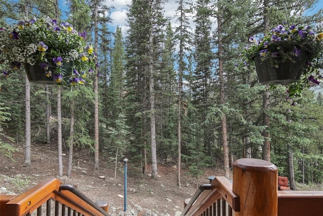 294 Davis Ct, Breckenridge, CO 80424 - photo 30