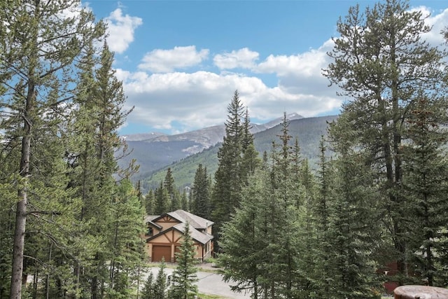 294 Davis Ct, Breckenridge, CO 80424 - photo 29
