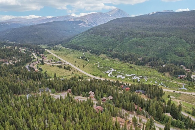 294 Davis Ct, Breckenridge, CO 80424 - photo 43