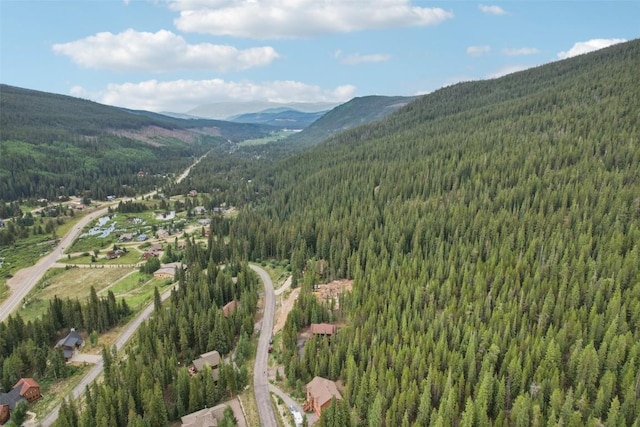 294 Davis Ct, Breckenridge, CO 80424 - photo 38
