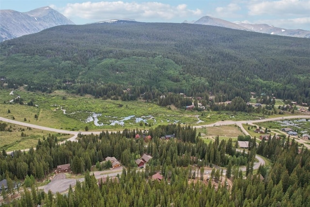294 Davis Ct, Breckenridge, CO 80424 - photo 42
