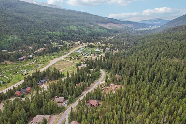294 Davis Ct, Breckenridge, CO 80424 - photo 41