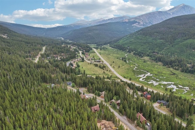 294 Davis Ct, Breckenridge, CO 80424 - photo 44