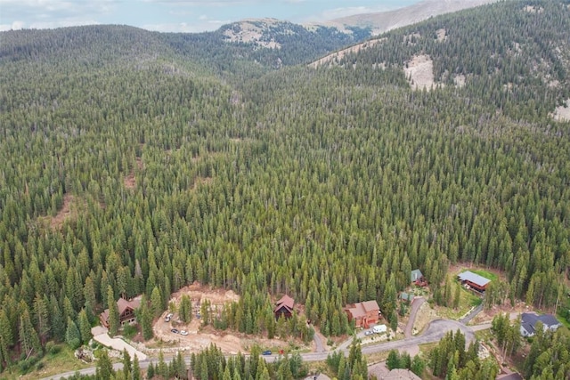 294 Davis Ct, Breckenridge, CO 80424 - photo 36