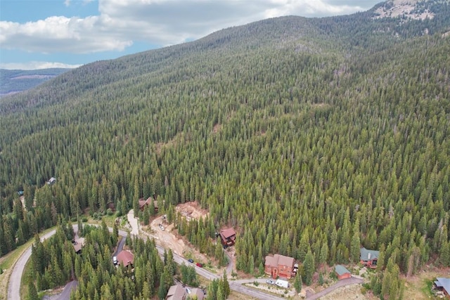 294 Davis Ct, Breckenridge, CO 80424 - photo 37