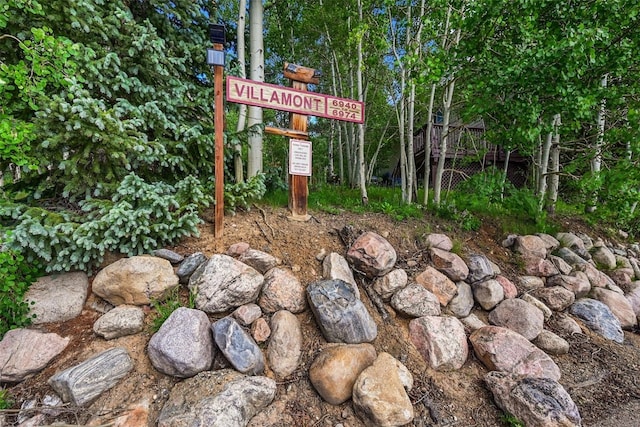 6941 Ryan Gulch Rd Unit 6941, Silverthorne, CO 80498 - exterior view