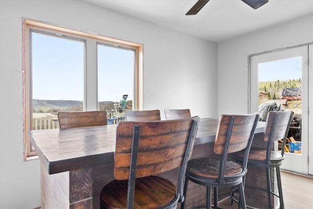 57680 Saturn Ct, Clark, CO 80428 - dining room with ceiling fan and light wood-style flooring
