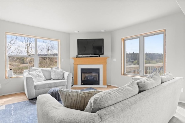 57680 Saturn Ct, Clark, CO 80428 - living area with a glass covered fireplace, wood finished floors, and baseboards