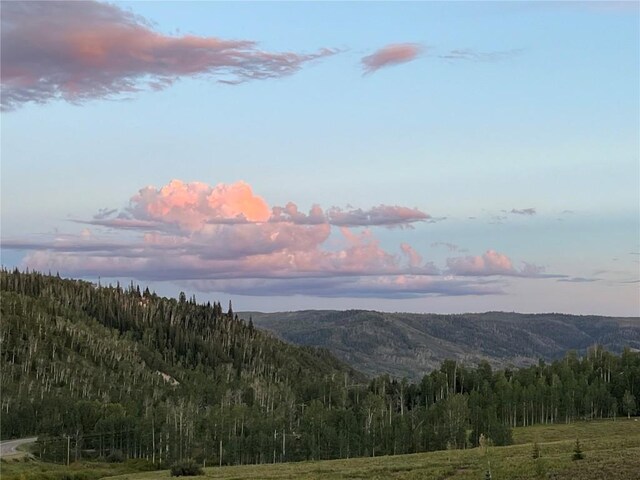 57680 Saturn Ct, Clark, CO 80428 - view of mountain background with a forest