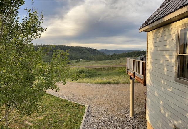 57680 Saturn Ct, Clark, CO 80428 - view of yard