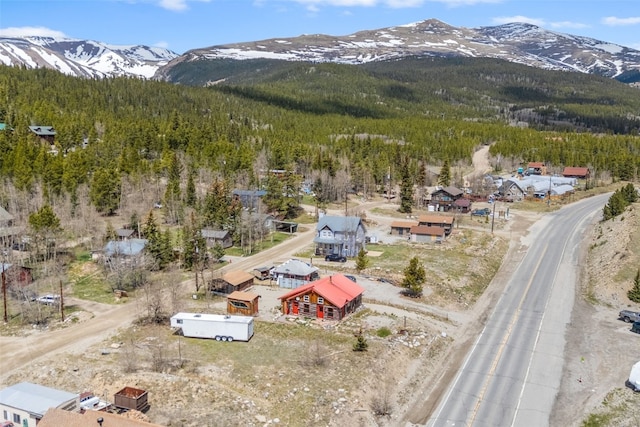 447 N Main St, Alma, CO 80420 - photo 39