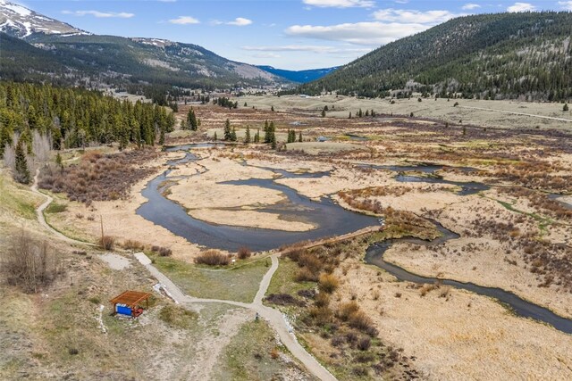 447 N Main St, Alma, CO 80420 - photo 43