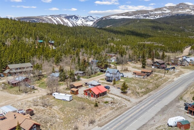 447 N Main St, Alma, CO 80420 - photo 2