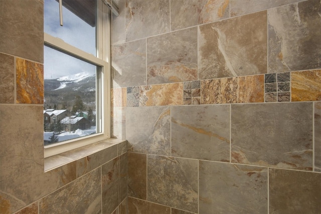 310 S 8th Ave Unit 4, Frisco, CO 80443 - interior details featuring tiled shower