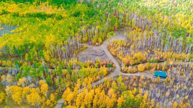 52002 County Road 8, Meeker, CO 81641 - photo 35