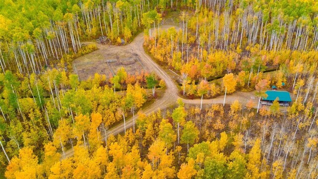 52002 County Road 8, Meeker, CO 81641 - photo 34