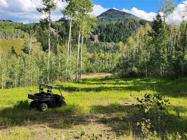 52002 County Road 8, Meeker, CO 81641 - photo 6
