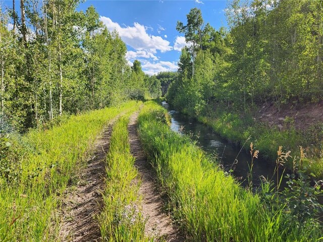 52002 County Road 8, Meeker, CO 81641 - photo 8