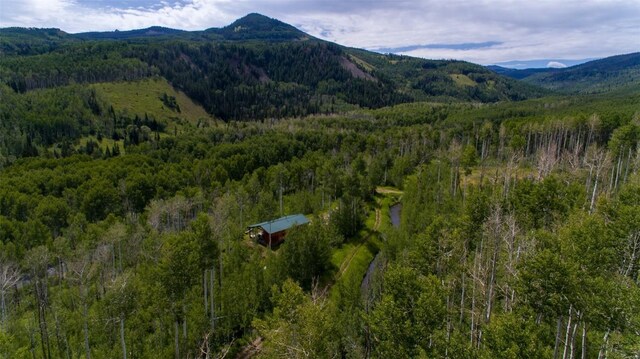 52002 County Road 8, Meeker, CO 81641 - photo 22