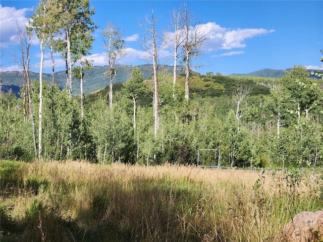 52002 County Road 8, Meeker, CO 81641 - photo 18