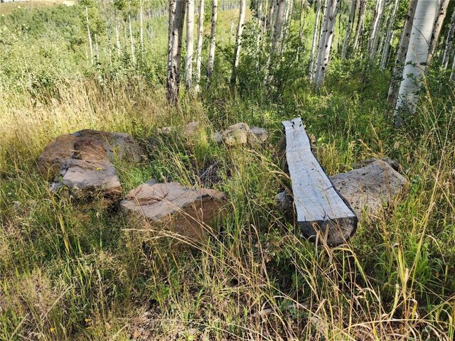 52002 County Road 8, Meeker, CO 81641 - photo 14