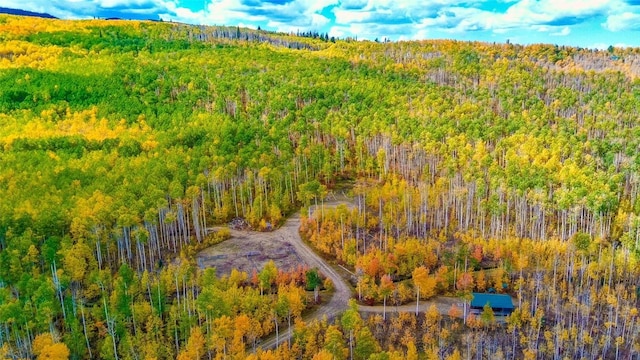 52002 County Road 8, Meeker, CO 81641 - photo 36