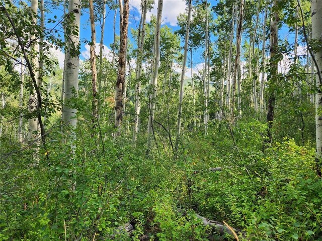 52002 County Road 8, Meeker, CO 81641 - photo 16