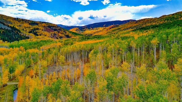 52002 County Road 8, Meeker, CO 81641 - photo 27