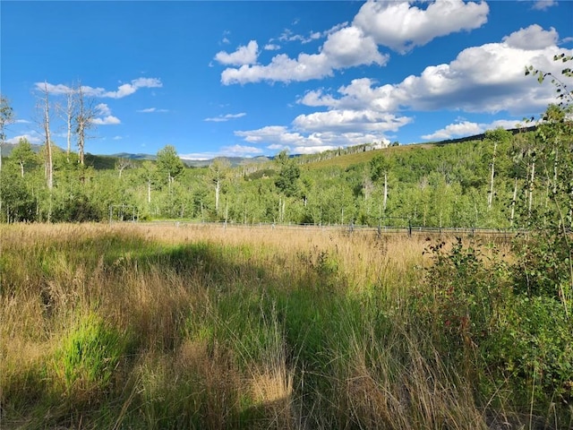 52002 County Road 8, Meeker, CO 81641 - photo 19