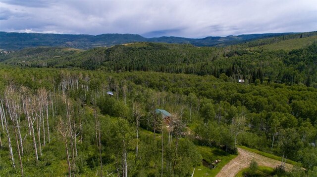 52002 County Road 8, Meeker, CO 81641 - photo 24