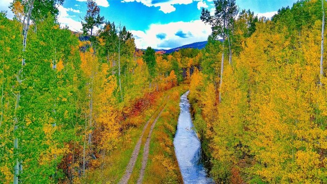 52002 County Road 8, Meeker, CO 81641 - photo 28