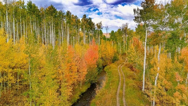 52002 County Road 8, Meeker, CO 81641 - photo 30