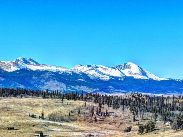 142 Puma Ct, Como, CO 80432 - photo 10