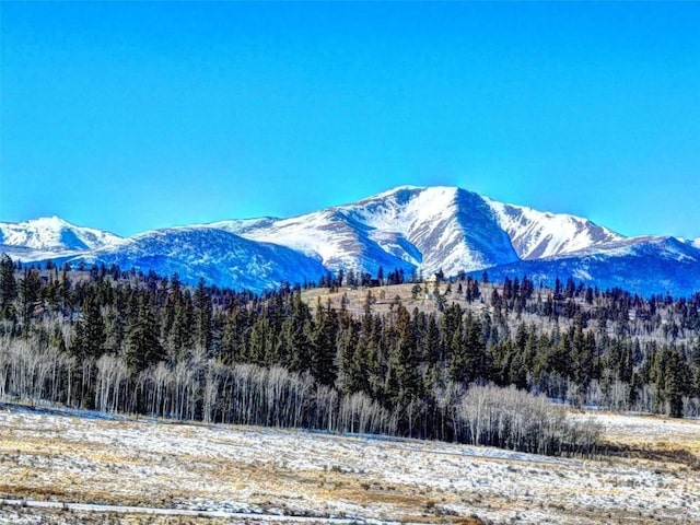 142 Puma Ct, Como, CO 80432 - photo 6