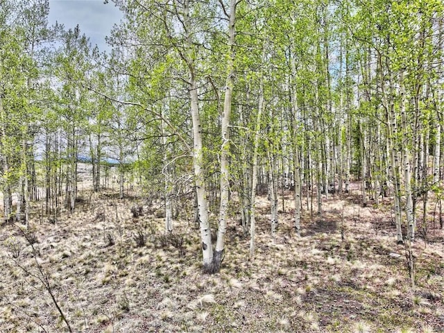 142 Puma Ct, Como, CO 80432 - photo 14