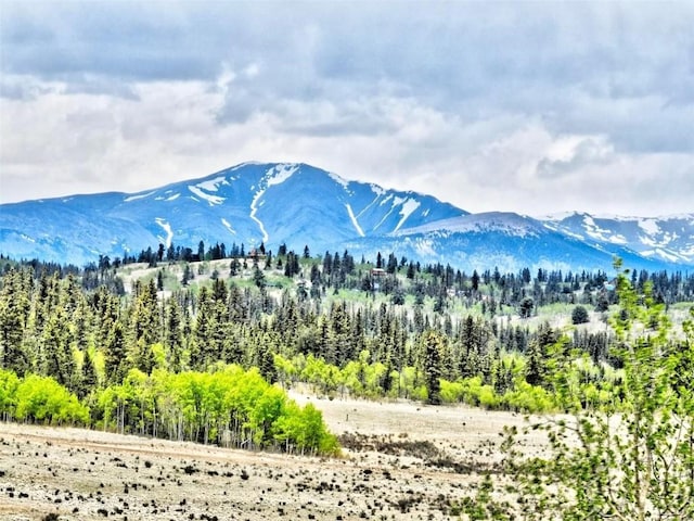 142 Puma Ct, Como, CO 80432 - photo 3