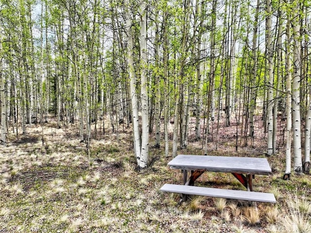 142 Puma Ct, Como, CO 80432 - photo 11
