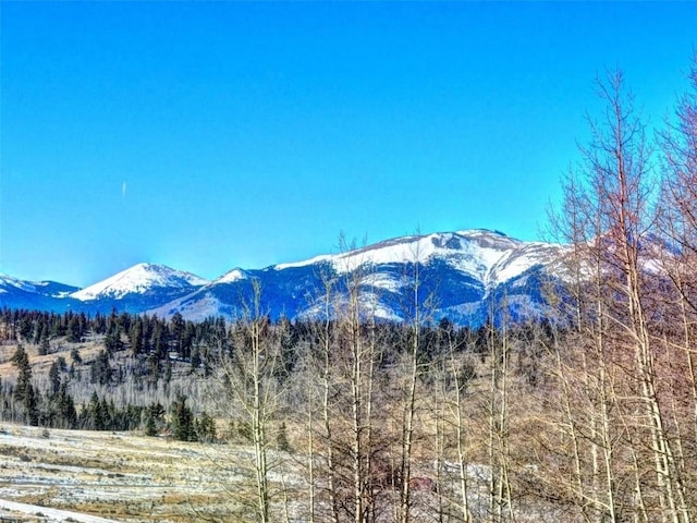 142 Puma Ct, Como, CO 80432 - photo 9
