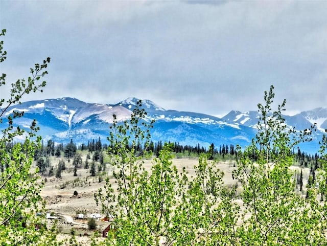 142 Puma Ct, Como, CO 80432 - photo 7