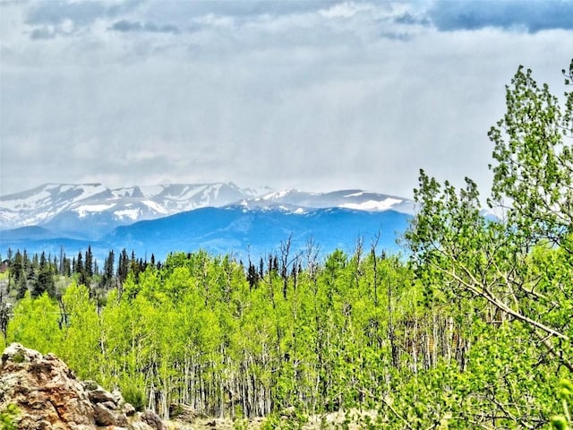 142 Puma Ct, Como, CO 80432 - photo 2