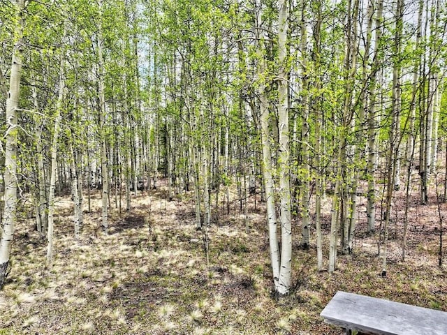 142 Puma Ct, Como, CO 80432 - photo 13