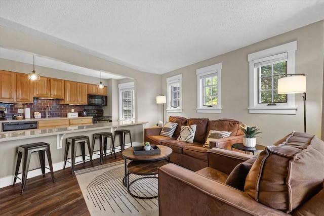 living room with dark wood finished floors and a textured ceiling