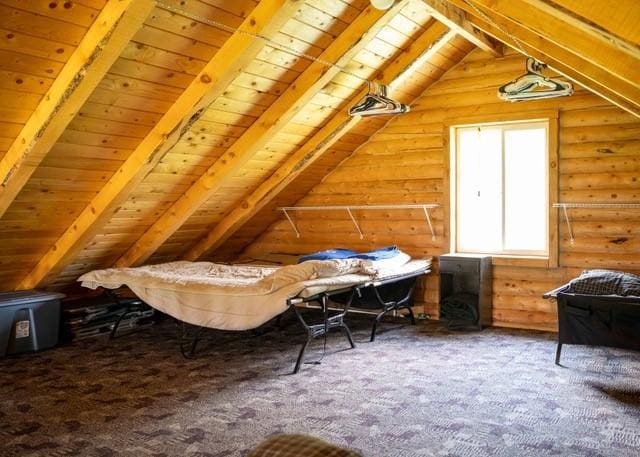 80 Sapling Ln, Craig, CO 81625 - view of attic