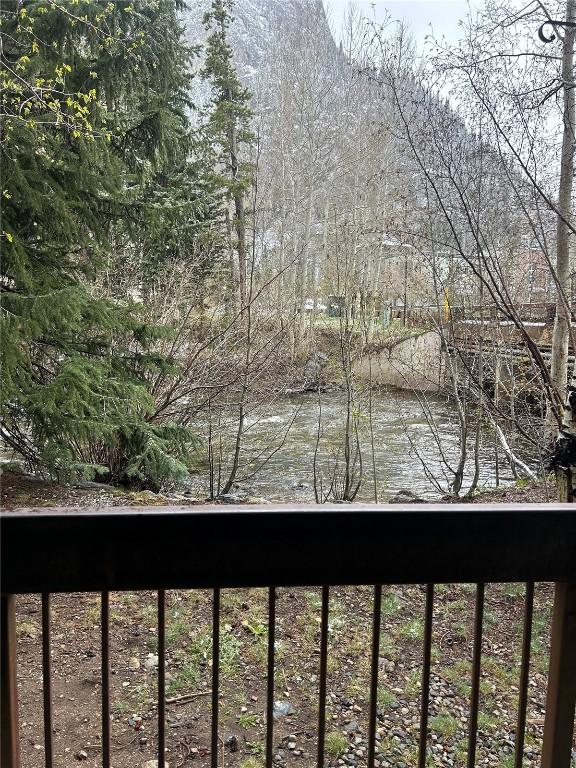 222 Creekside Dr Unit 112, Frisco, CO 80443 - water view